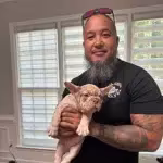 french bulldog puppies in hands french bulldog puppies in hands