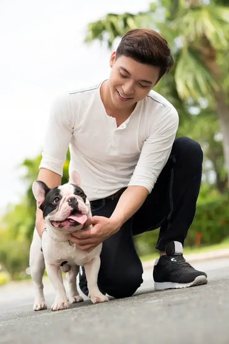 french bulldog puppy with man