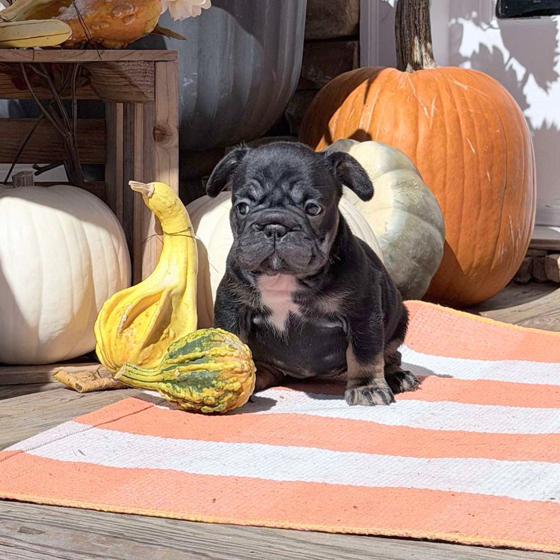 0-02-01-539662836e284b43fdf147fa3051a1f105c0e50f6933939292bbdd6610178ba9_c87c826c24c0642c-fotor-2025102517754