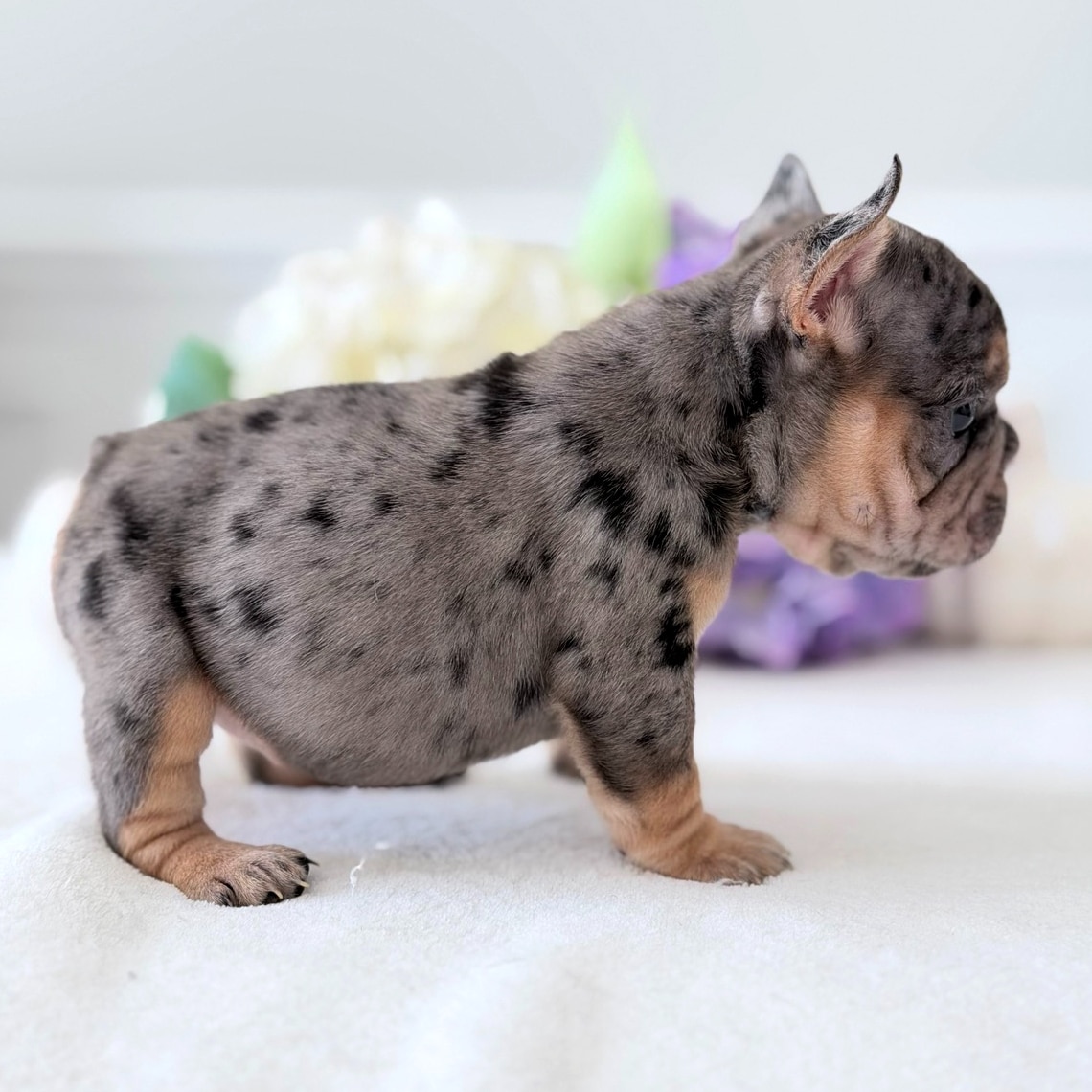 1-fotor-20251025171224