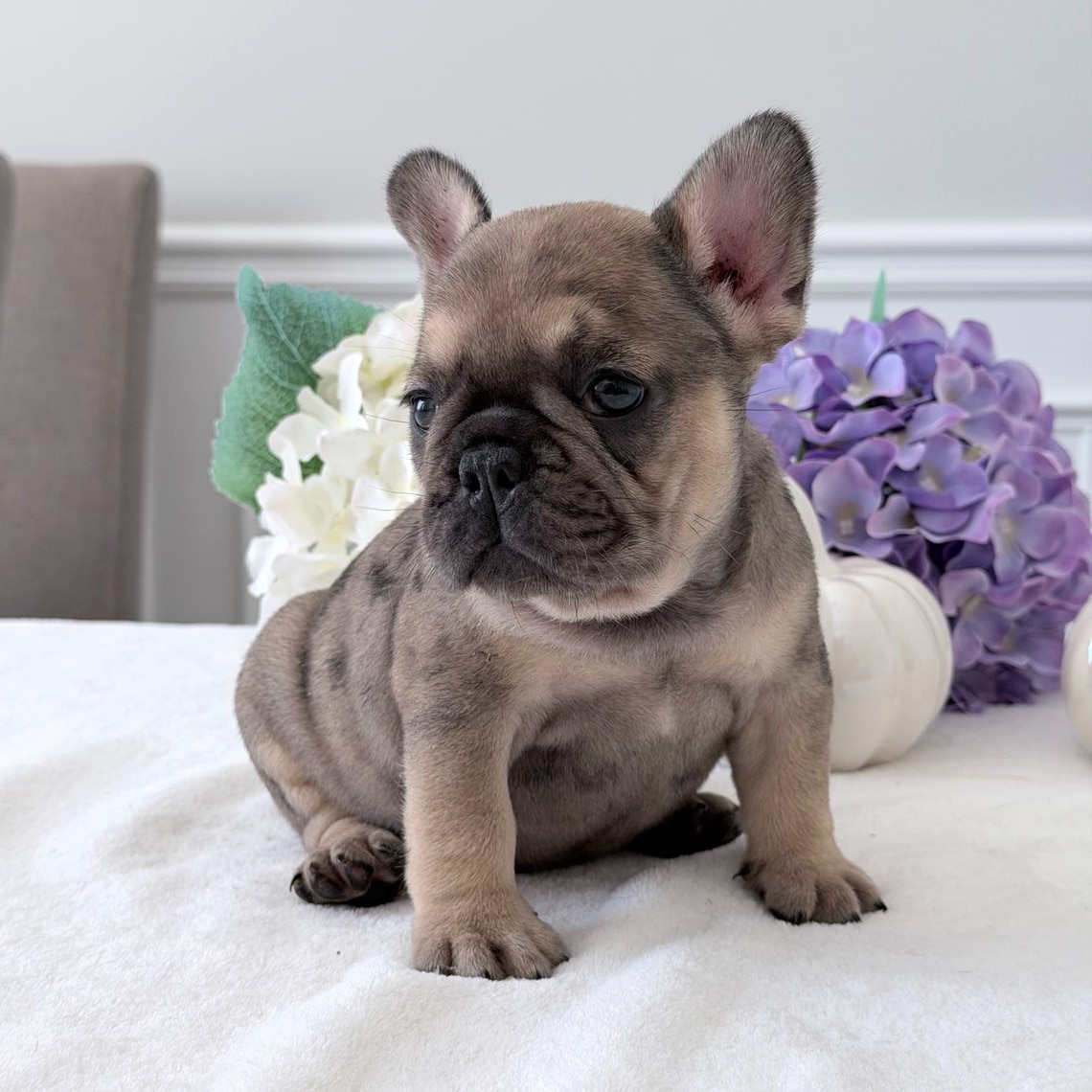 1-fotor-2025102517151