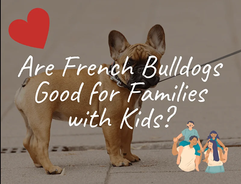 Are French Bulldogs Good for Families with Kids?