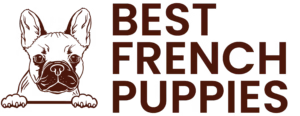 main-logo-bestfrenchpuppies