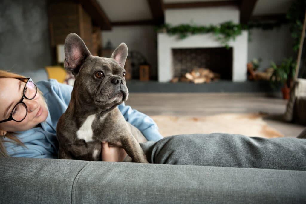 French Bulldog Pregnancy Guide: Signs, Care, and Diet