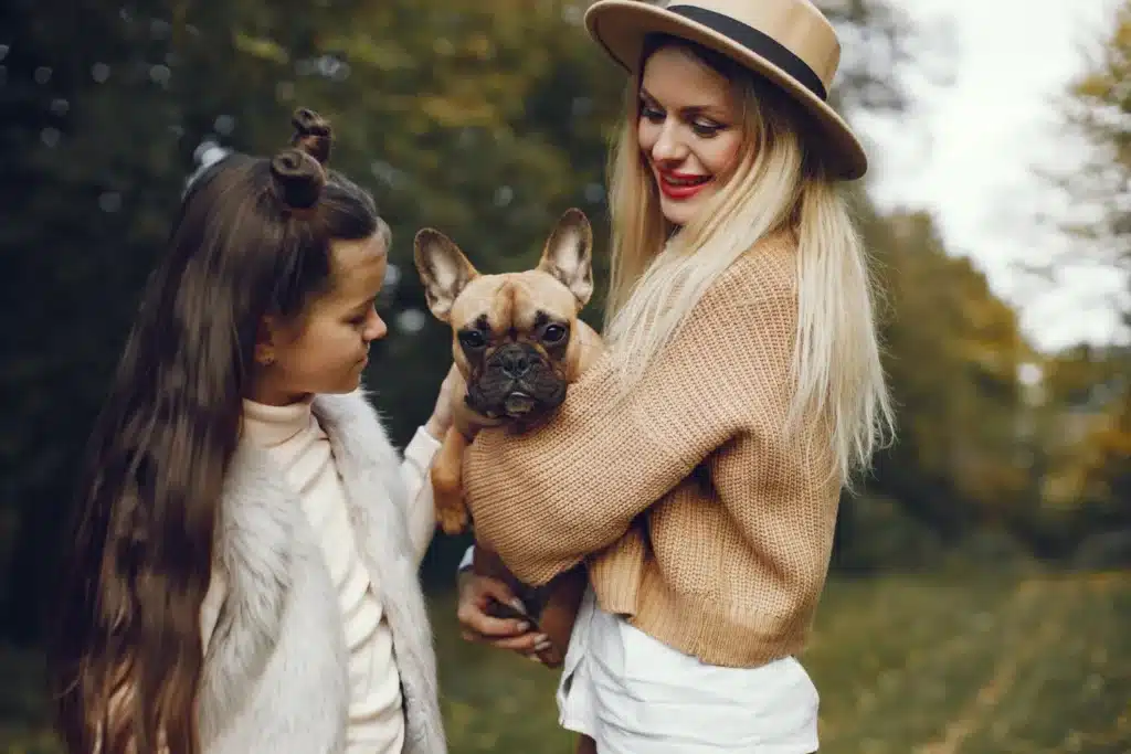 How to Choose the Right French Bulldog Puppy for Your Family