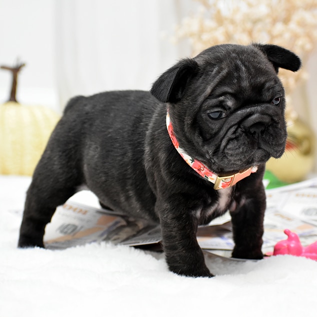 DSC_0759-fotor-2025102719224