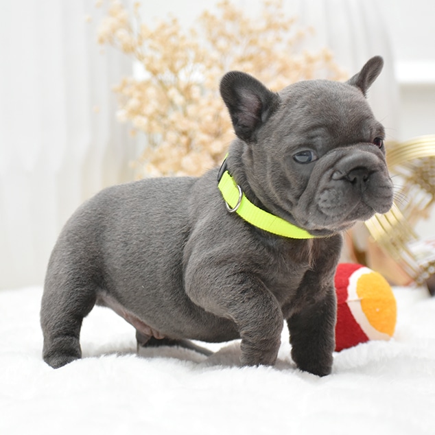 DSC_0790-fotor-20251027192053