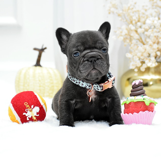 DSC_0844-fotor-20251027192829