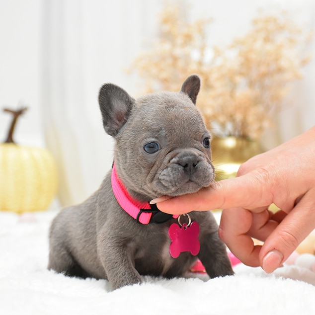 DSC_0869-fotor-2025102719234