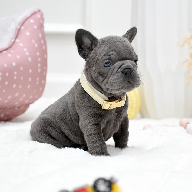 DSC_0893-fotor-20251027192859