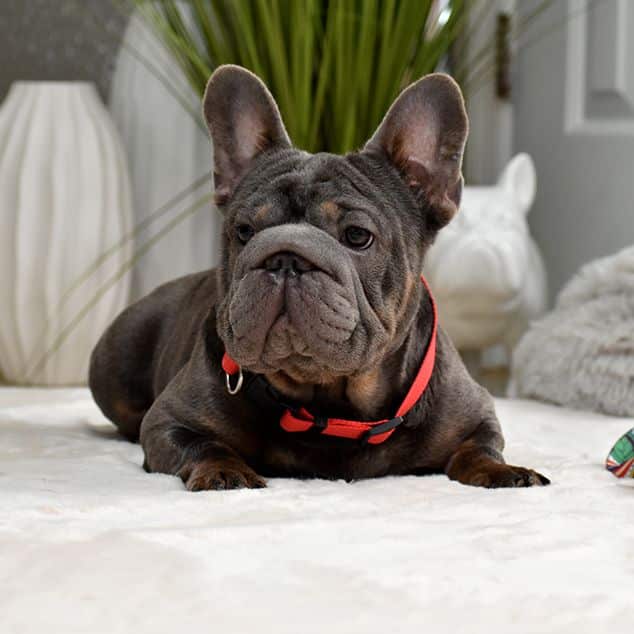 изображение_viber_2025-11-16_01-30-41-449