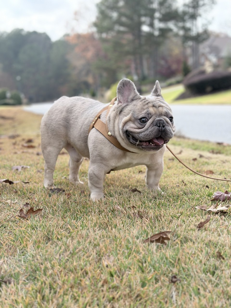 photo_2026-01-28_15-55-15 photo_2026-01-28_15-55-15