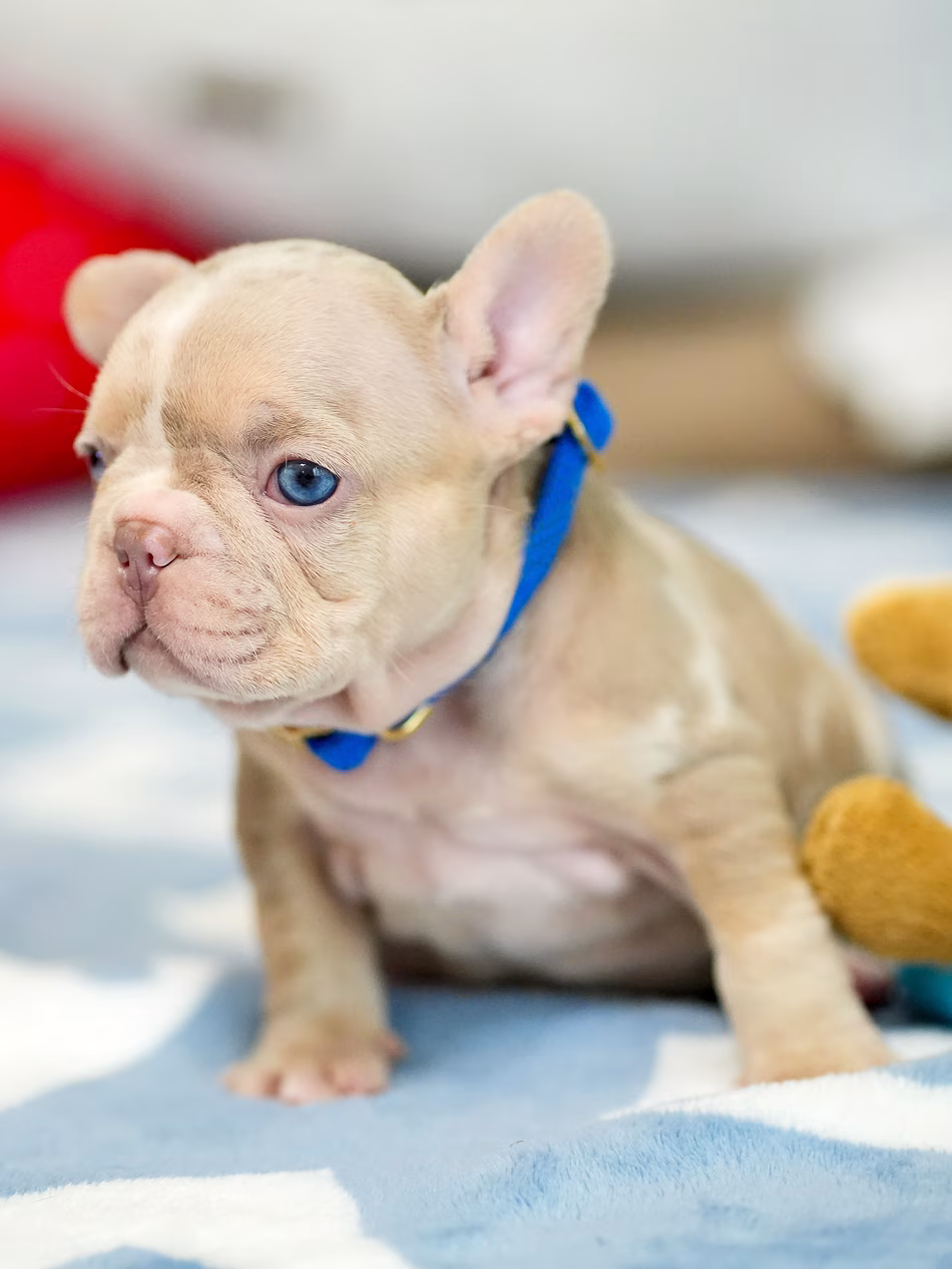 DSC04339-fotor-20260317162144 DSC04339-fotor-20260317162144