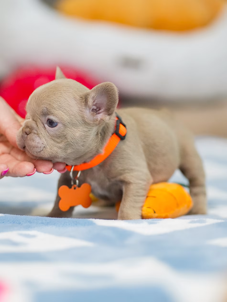 DSC04640-fotor-20260317161257 DSC04640-fotor-20260317161257