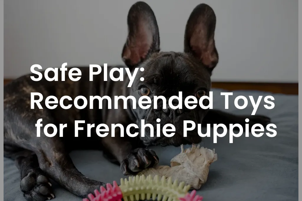 Safe Play: Recommended Toys for Frenchie Puppies