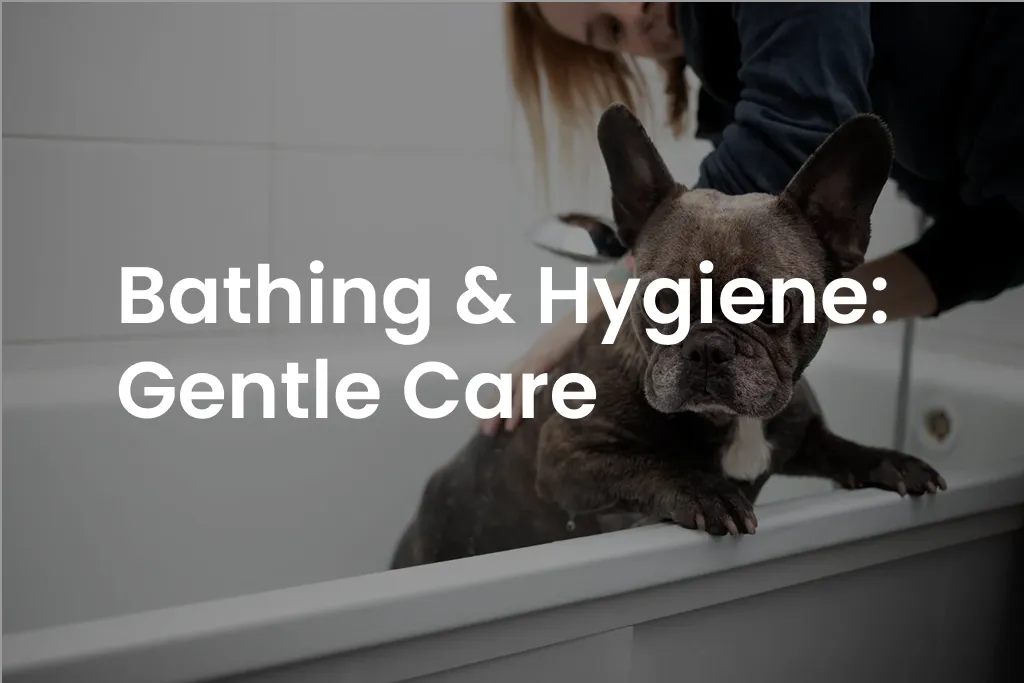 Bathing & Hygiene: Gentle Care