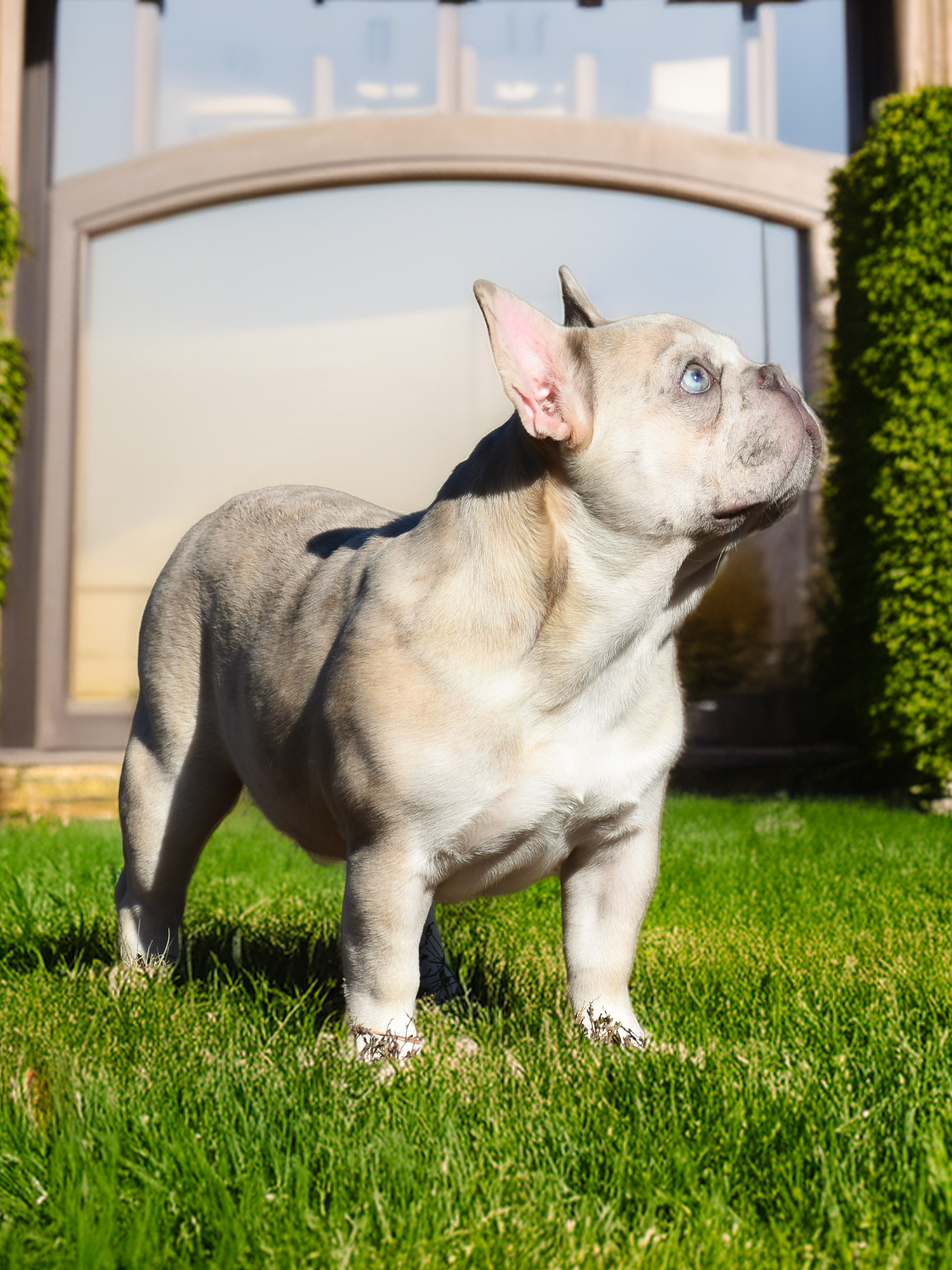 DSC_0194 копия-fotor-20260125134440 DSC_0194 копия-fotor-20260125134440