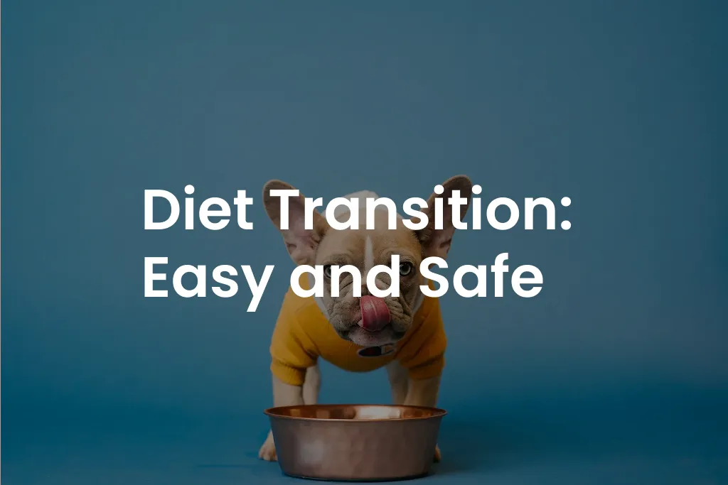 Diet Transition: Easy and Safe