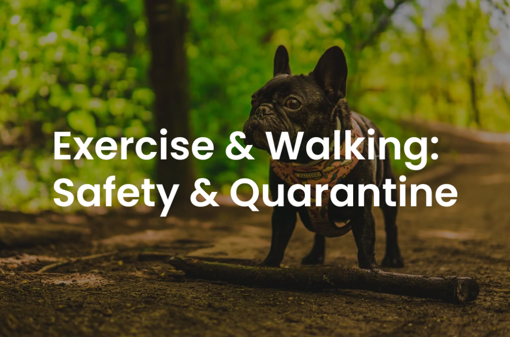 Exercise & Walking: Safety & Quarantine