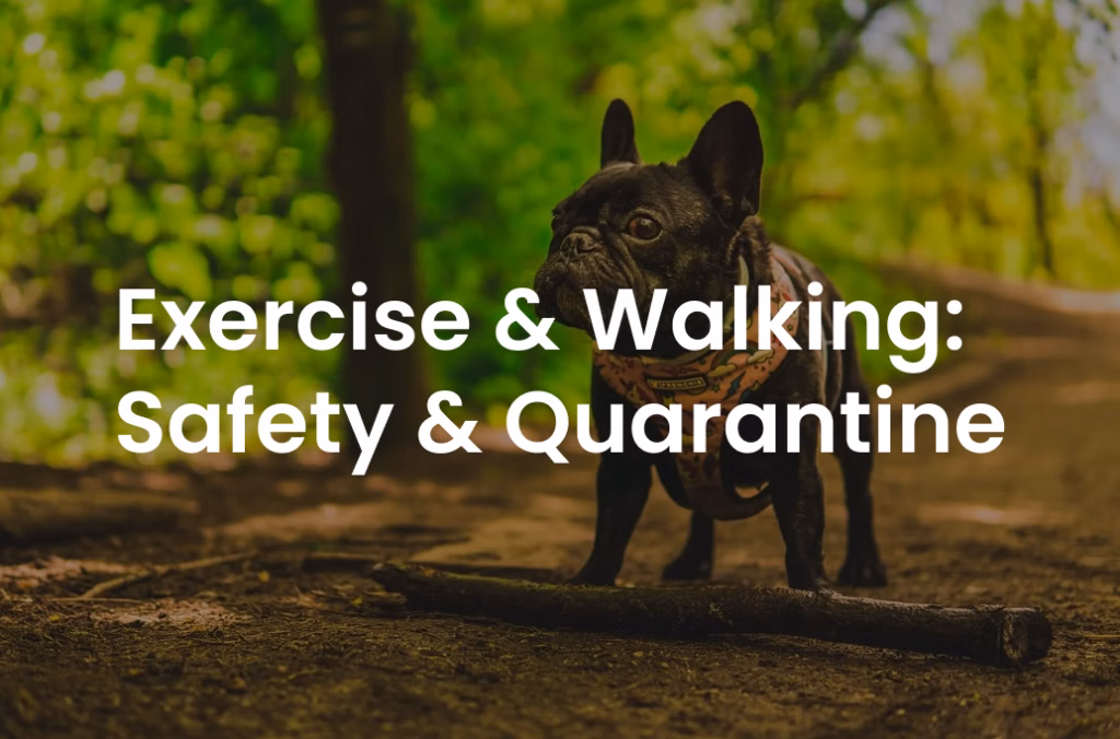 Exercise & Walking: Safety & Quarantine