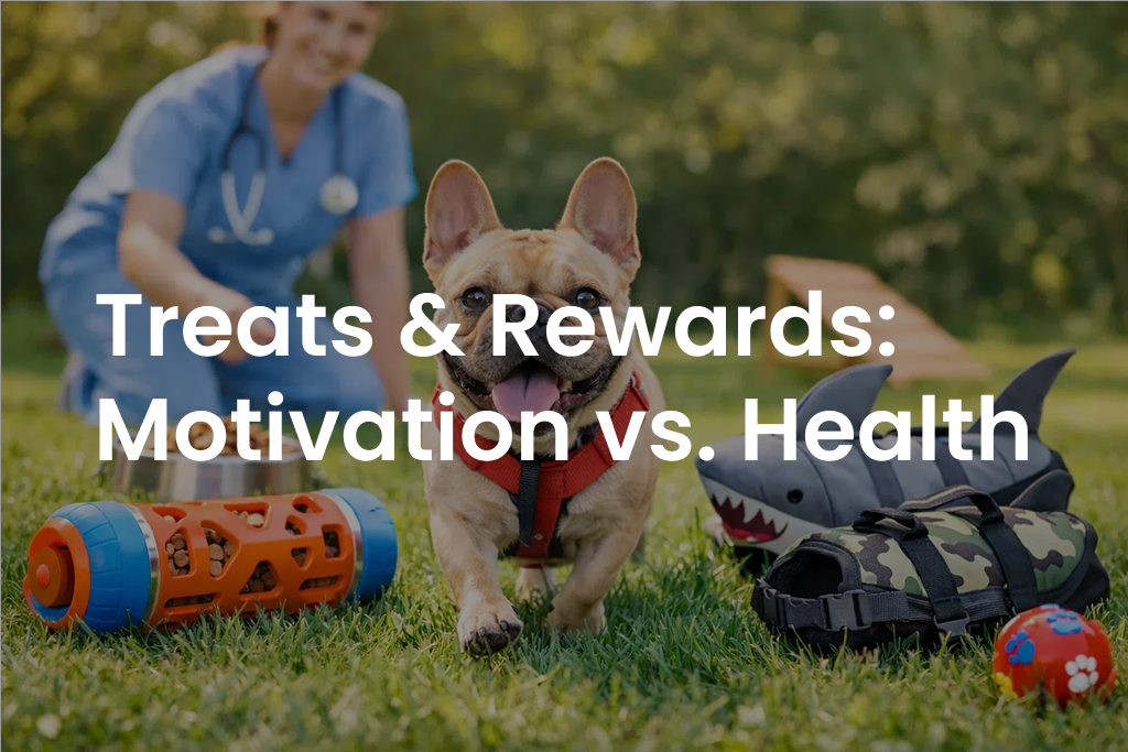 Treats & Rewards: Motivation vs. Health