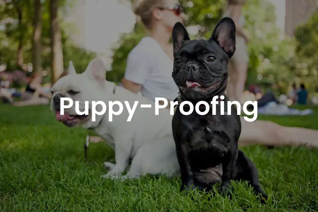 Puppy-Proofing