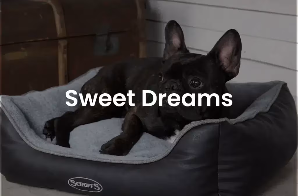 Sweet Dreams