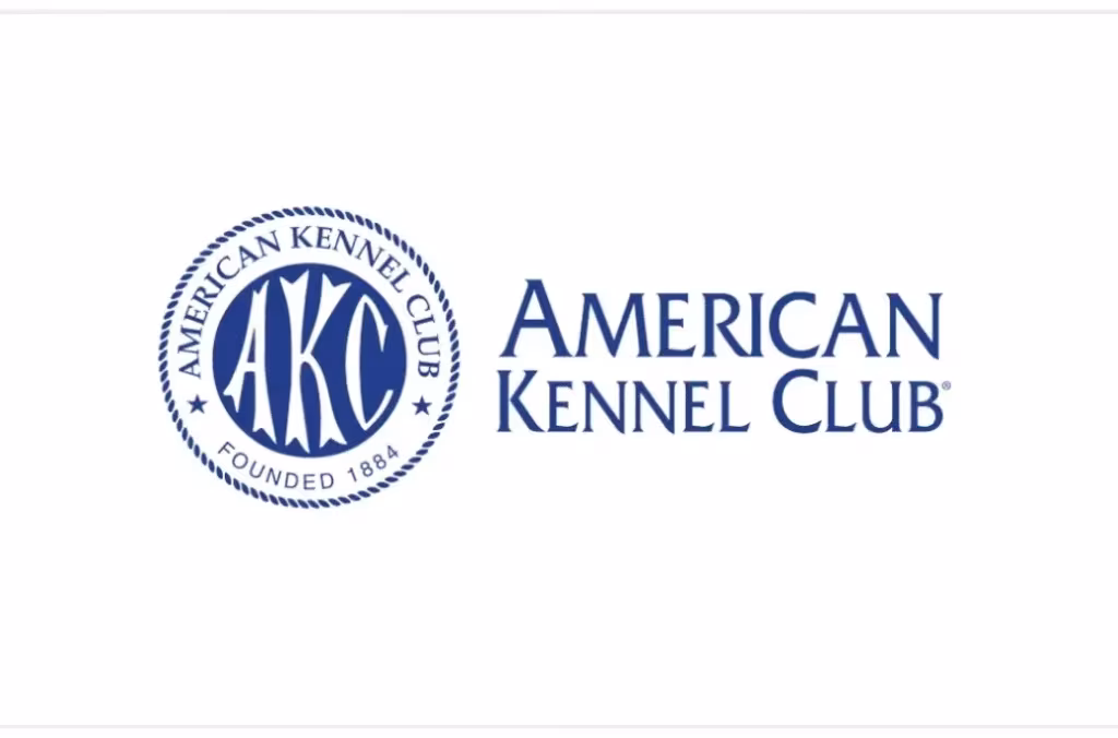 AKC Registration: Making it Official