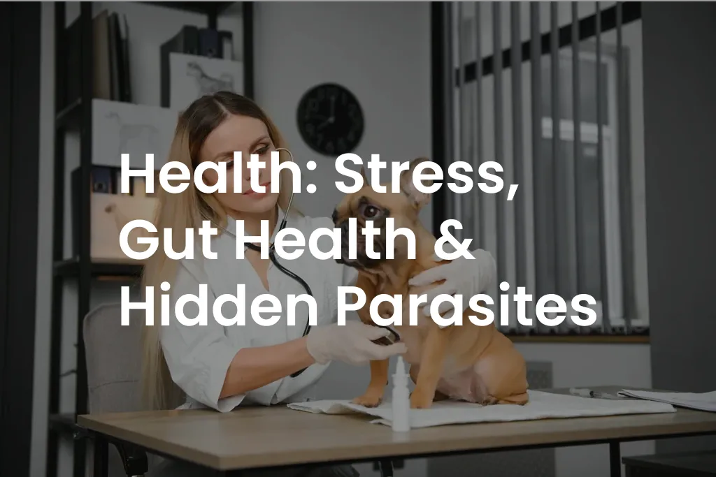 Health: Stress, Gut Health & Hidden Parasites