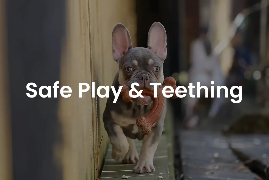 Safe Play & Teething