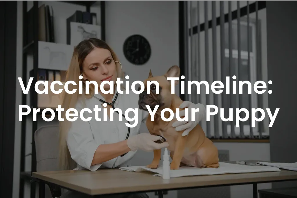 Vaccination Timeline: Protecting Your Puppy
