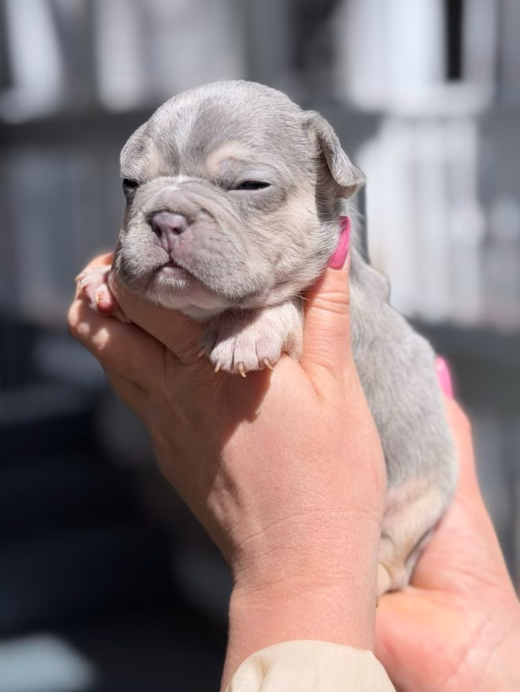 photo_2026-03-17_17-05-03-fotor-20260317171618 photo_2026-03-17_17-05-03-fotor-20260317171618