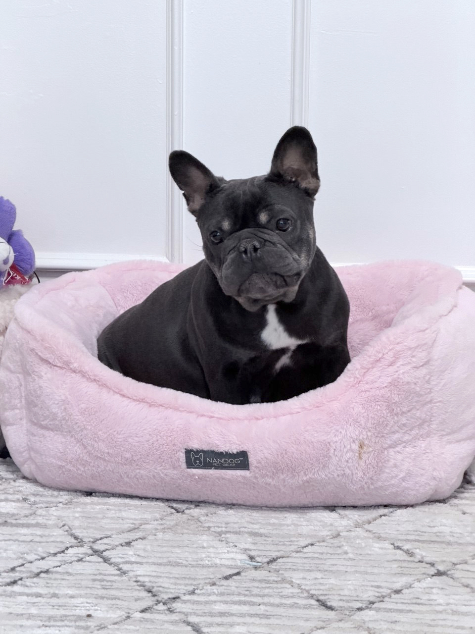 photo_2026-03-31_19-06-07 photo_2026-03-31_19-06-07