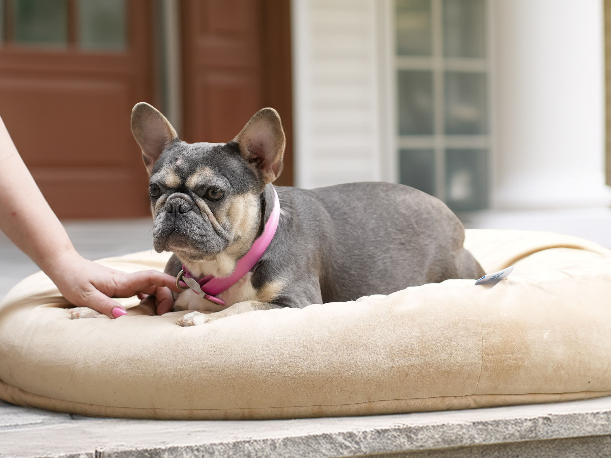 _DSC5449 копия-fotor-20260415183949 _DSC5449 копия-fotor-20260415183949