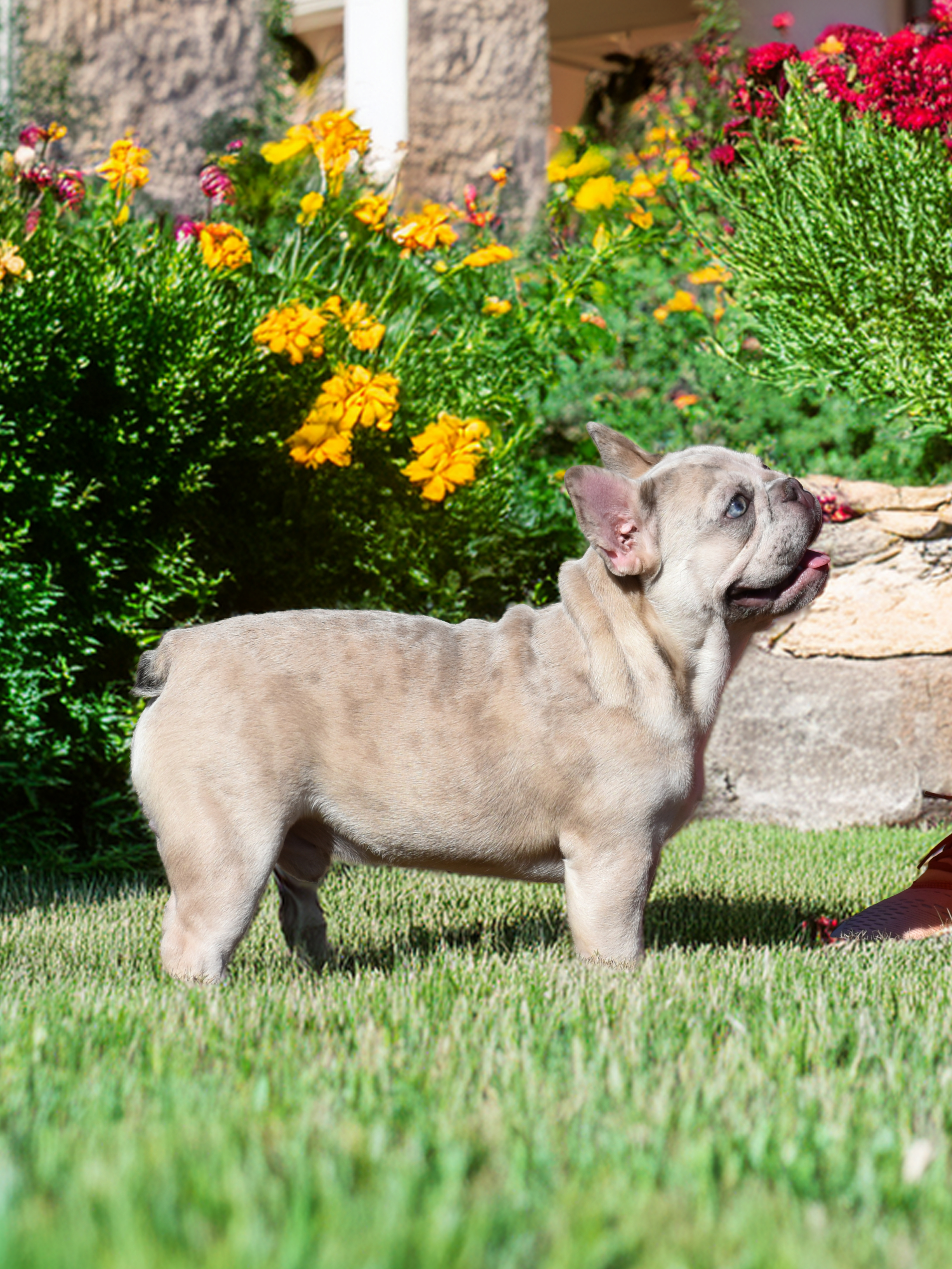 DSC_01871 копия-fotor-20260125134330 DSC_01871 копия-fotor-20260125134330