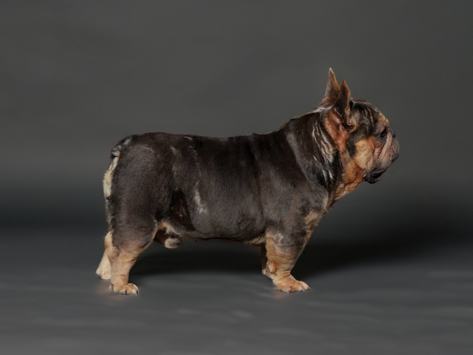 df2f2f_bf09a5ac2e4b49ac85e172fdc8bffff2~mv2 копия-fotor-2026012513216 df2f2f_bf09a5ac2e4b49ac85e172fdc8bffff2~mv2 копия-fotor-2026012513216