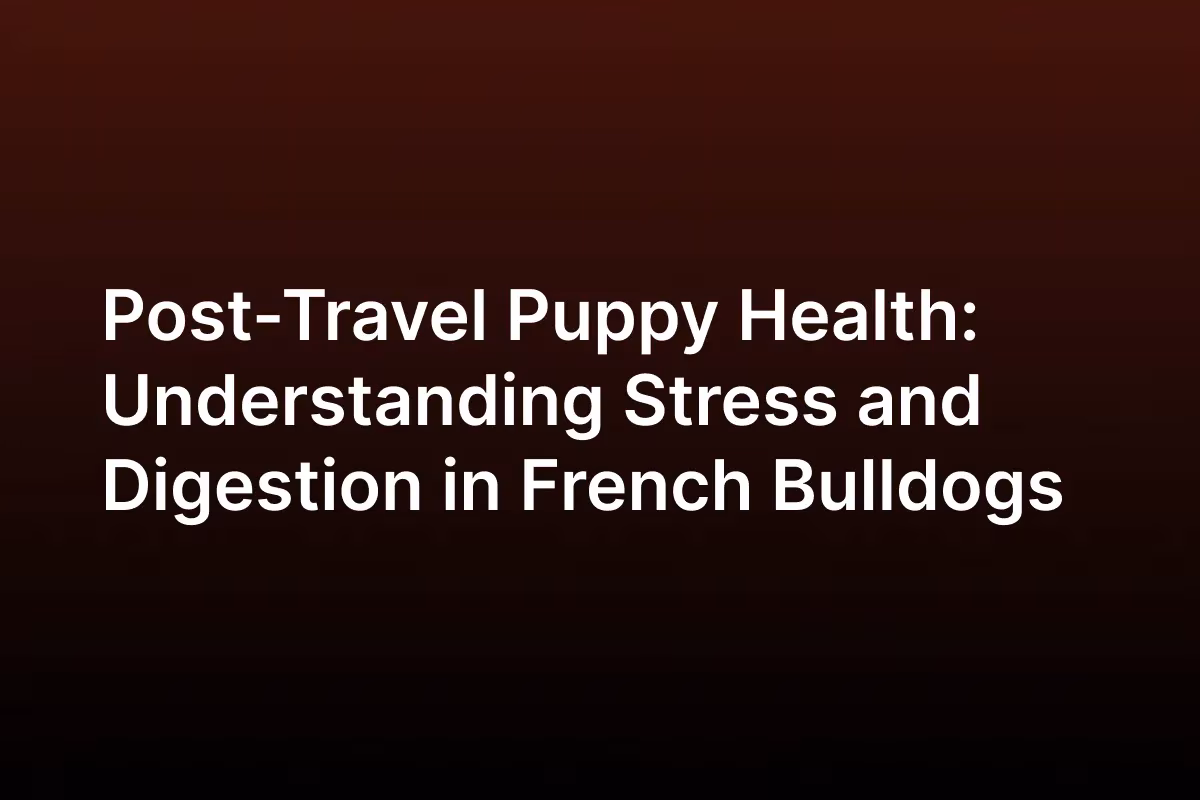 Post-Travel Puppy Health- Understanding Stress and Digestion in French Bulldogs Post-Travel Puppy Health- Understanding Stress and Digestion in French Bulldogs