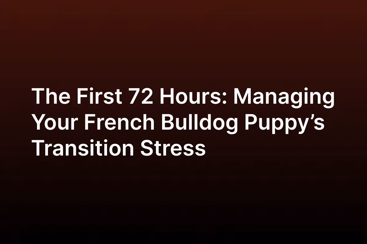The First 72 Hours The First 72 Hours