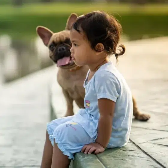 french bulldog puppy whit baby